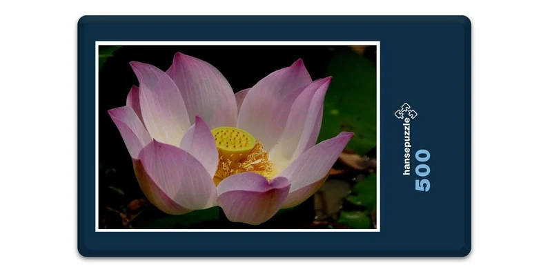 19355 Natur - lotusblume Puzzle