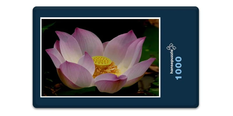 19355 Natur - lotusblume Puzzle