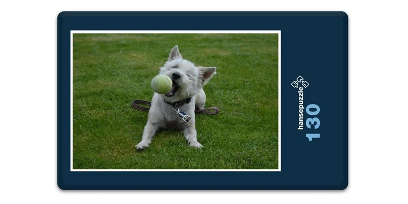 17823 Tierwelt - Fang den Ball Puzzle