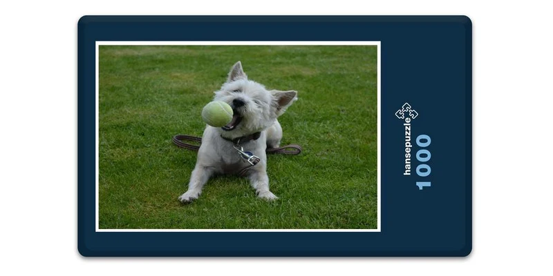 17823 Tierwelt - Fang den Ball Puzzle