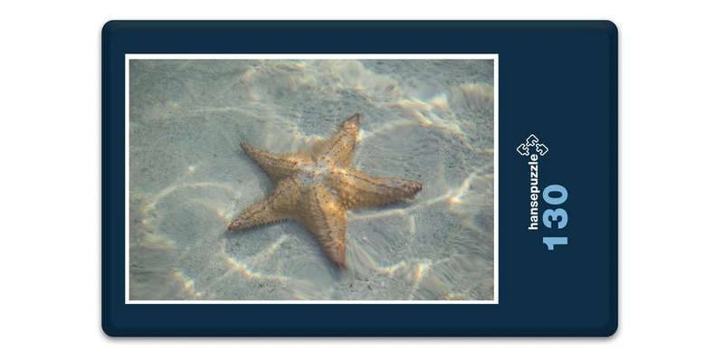 17824 Tierwelt - See-Stern Puzzle