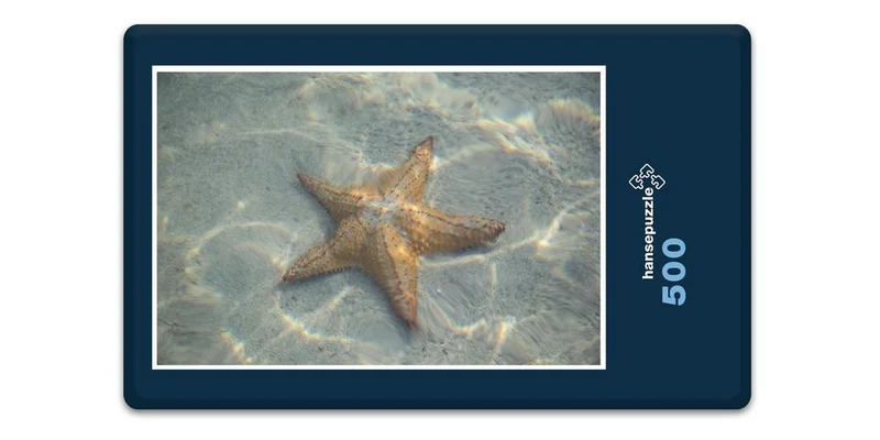 17824 Tierwelt - See-Stern Puzzle