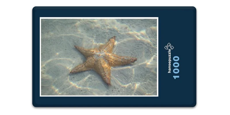 17824 Tierwelt - See-Stern Puzzle