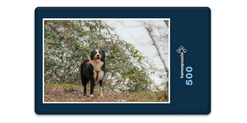 17827 Tierwelt - Nasser Hund Puzzle