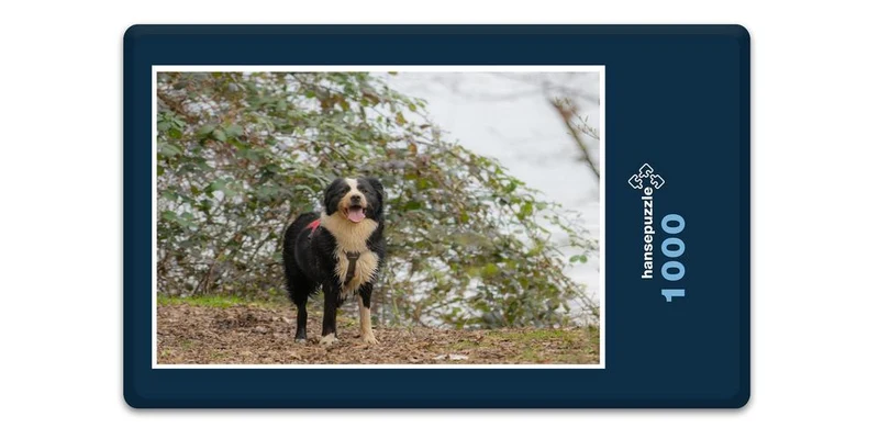 17827 Tierwelt - Nasser Hund Puzzle