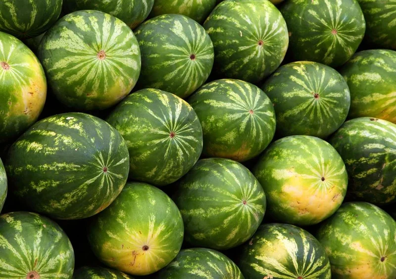 17869 Hintergründe - Melonen Puzzle
