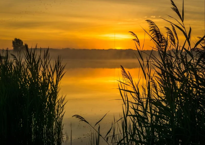 23997 Natur - Sonnenaufgang Puzzle