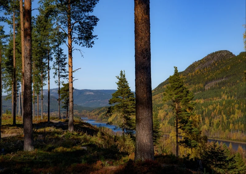 43577 Natur - Berglandschaft Puzzle