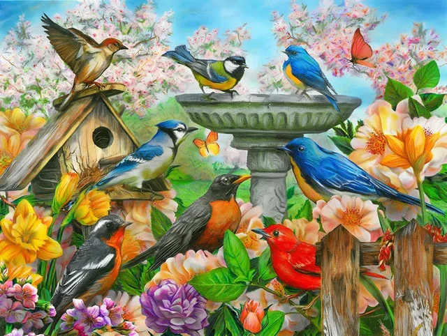 Bird Bath, Edward Wargo (500pcs)