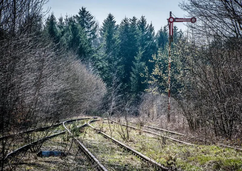 17644 Fortbewegung - Natur-Gleis Puzzle