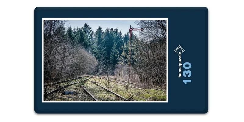 17644 Fortbewegung - Natur-Gleis Puzzle