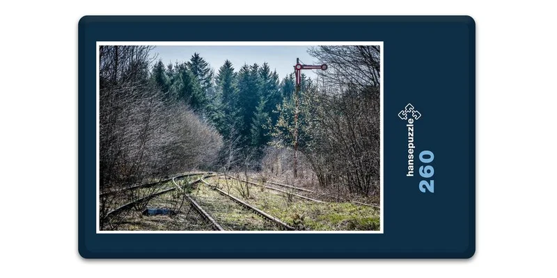 17644 Fortbewegung - Natur-Gleis Puzzle
