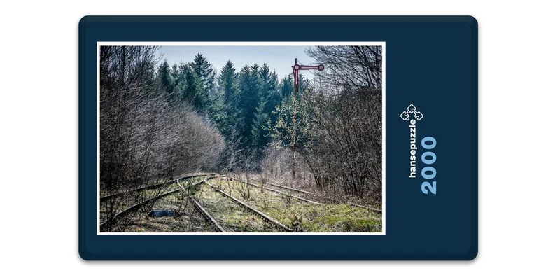 17644 Fortbewegung - Natur-Gleis Puzzle