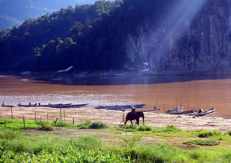 19335 Natur - Mekong Puzzle