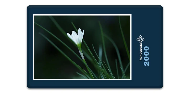 19330 Natur - Lilie Puzzle