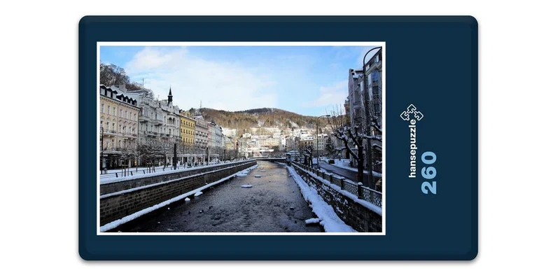 17908 Orte - Karlsbad Puzzle
