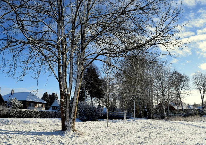 43279 Gebäude - Winterlandschaft Puzzle