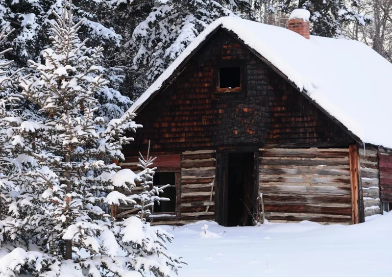 17905 Gebäude - Winterhütte Puzzle