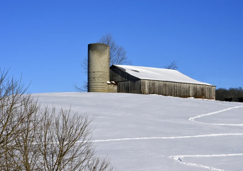 37511 Natur - Winter Puzzle