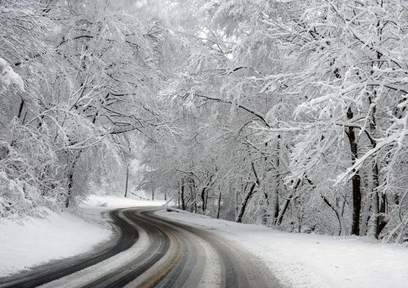 37491 Natur - Winter-Wunderland Puzzle