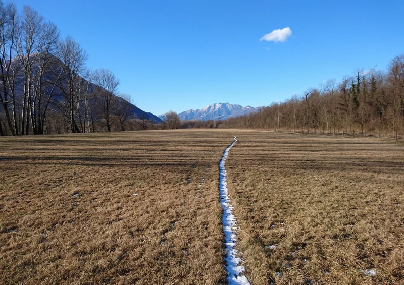 37485 Natur - Winter Puzzle