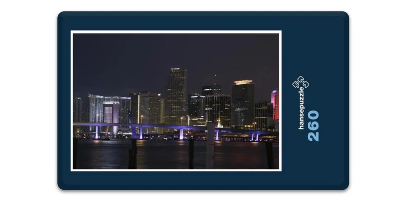 17918 Reisen - Miami bei Nacht Puzzle