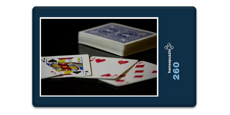 17952 Sport - Spiel-Karten Puzzle