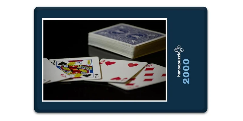 17952 Sport - Spiel-Karten Puzzle