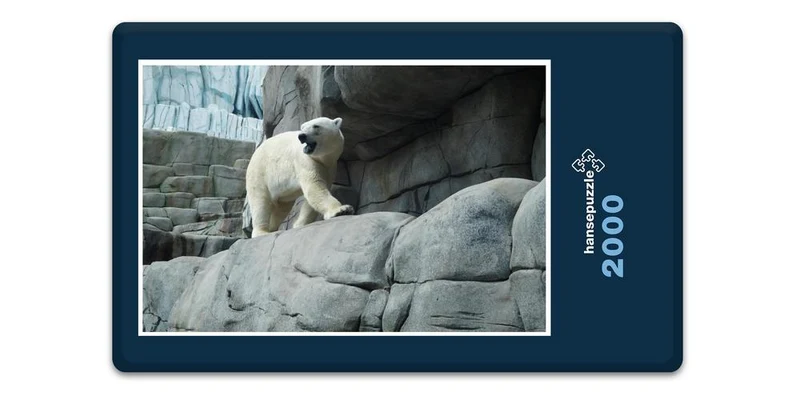 17953 Tierwelt - Eisbär auf Fels Puzzle