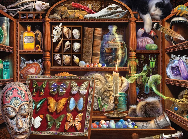 Photography: Curiosity Cabinet