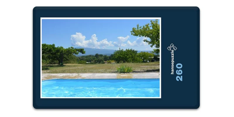 17784 Reisen - Pool in Wiese Puzzle