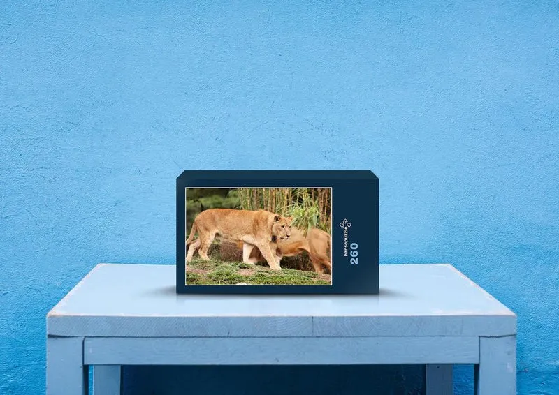 23263 Tierwelt - Löwe Puzzle
