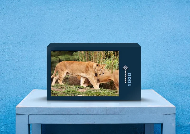23263 Tierwelt - Löwe Puzzle