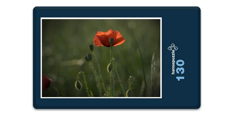 19425 Natur - Klatschmohn Puzzle