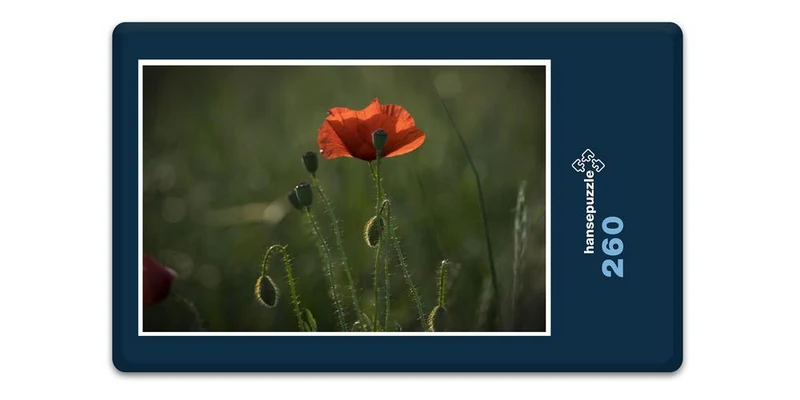 19425 Natur - Klatschmohn Puzzle