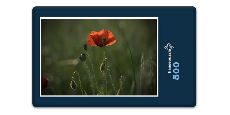 19425 Natur - Klatschmohn Puzzle