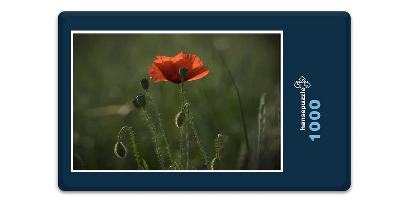 19425 Natur - Klatschmohn Puzzle