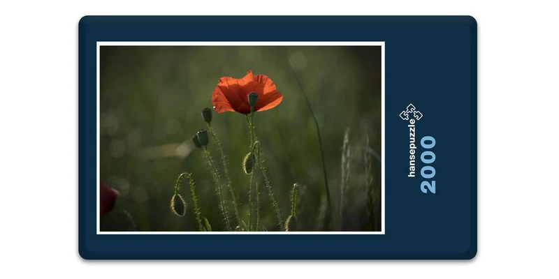 19425 Natur - Klatschmohn Puzzle