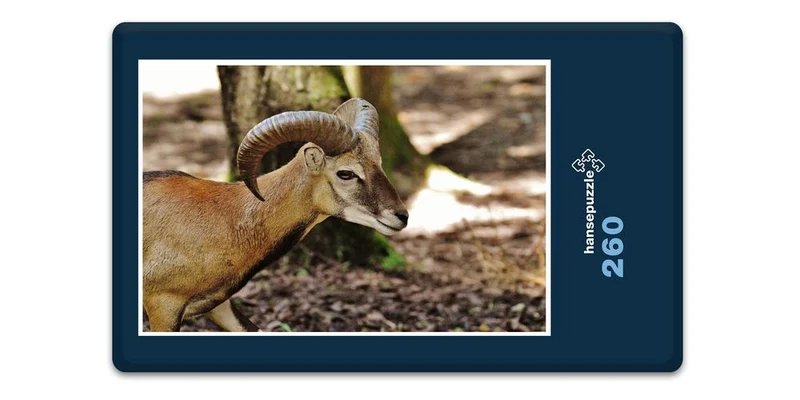 19420 Tierwelt - Widder Puzzle