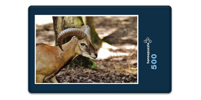 19420 Tierwelt - Widder Puzzle