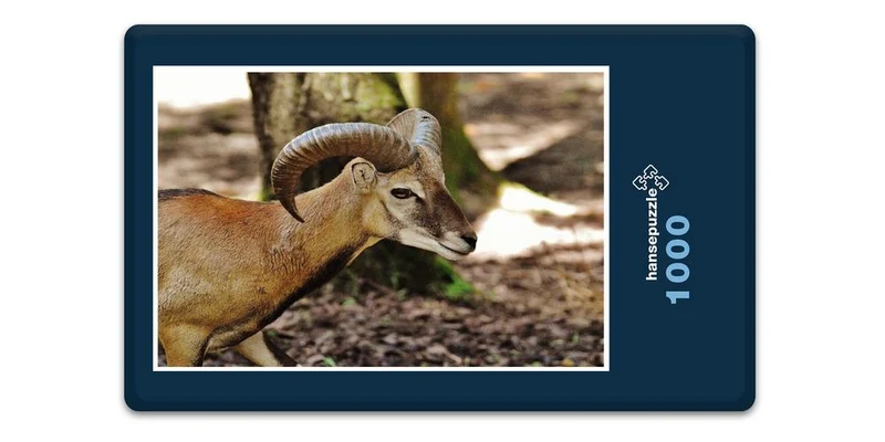 19420 Tierwelt - Widder Puzzle