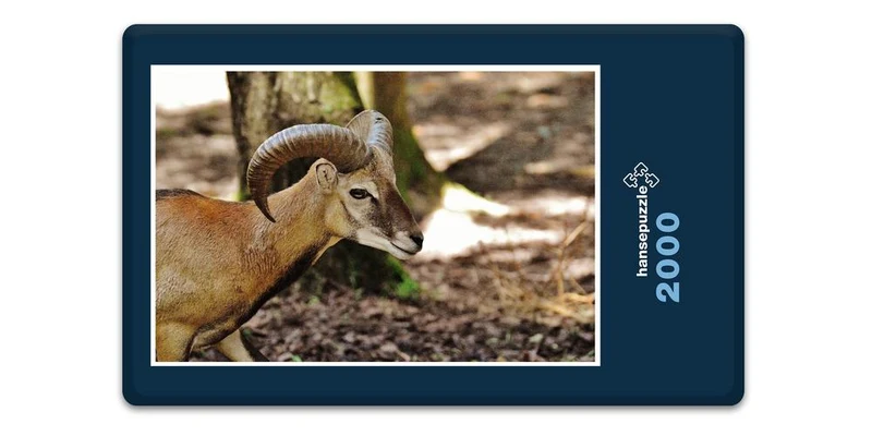 19420 Tierwelt - Widder Puzzle