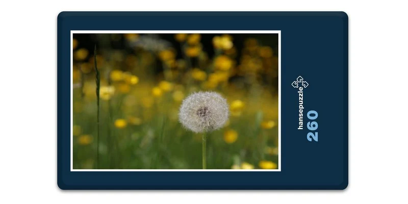 19415 Natur - Pusteblume Puzzle