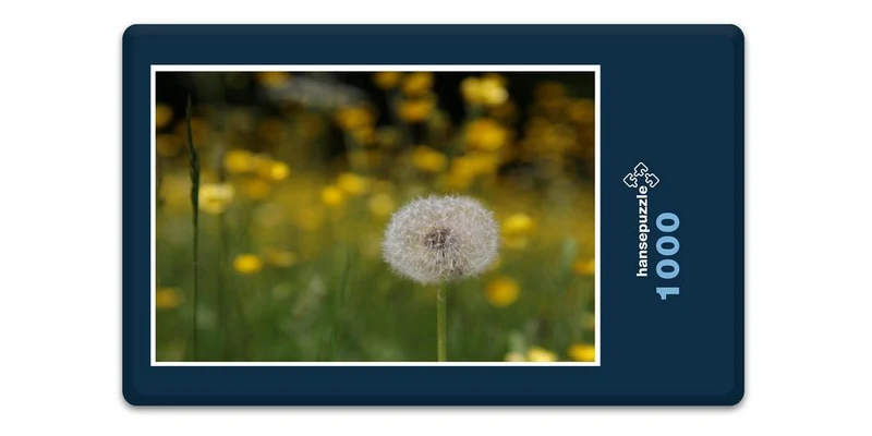 19415 Natur - Pusteblume Puzzle