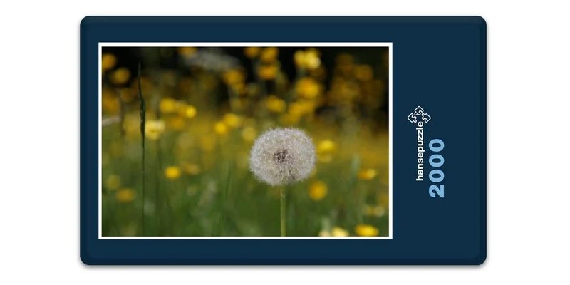 19415 Natur - Pusteblume Puzzle