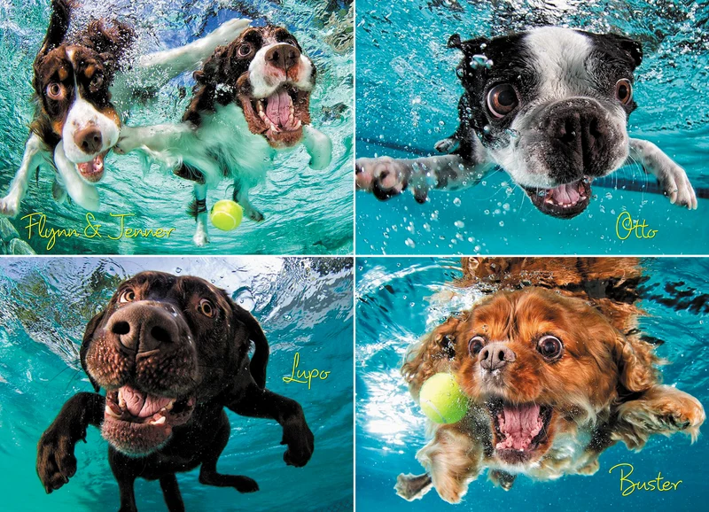 Underwater Dogs: Ruff Water (1000pcs)