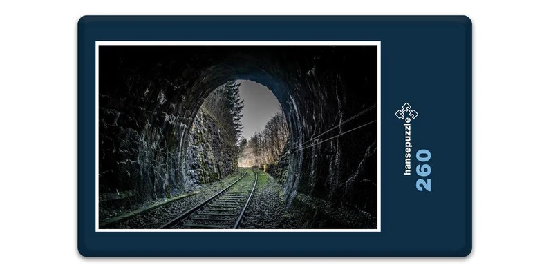 17657 Fortbewegung - Eisenbahn Puzzle