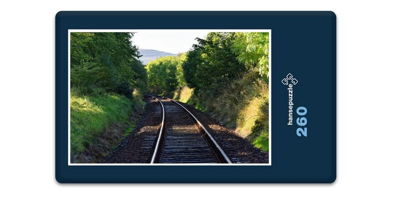 17659 Fortbewegung - Eisenbahn Puzzle