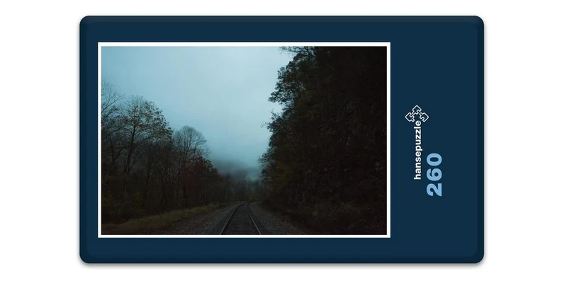 17661 Fortbewegung - Eisenbahn Puzzle