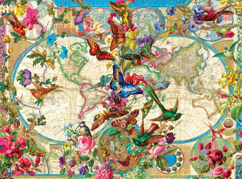 Birds Butterflies and Bloom Map, Aimee Stewart